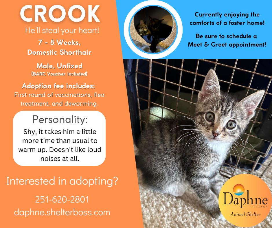 Crook