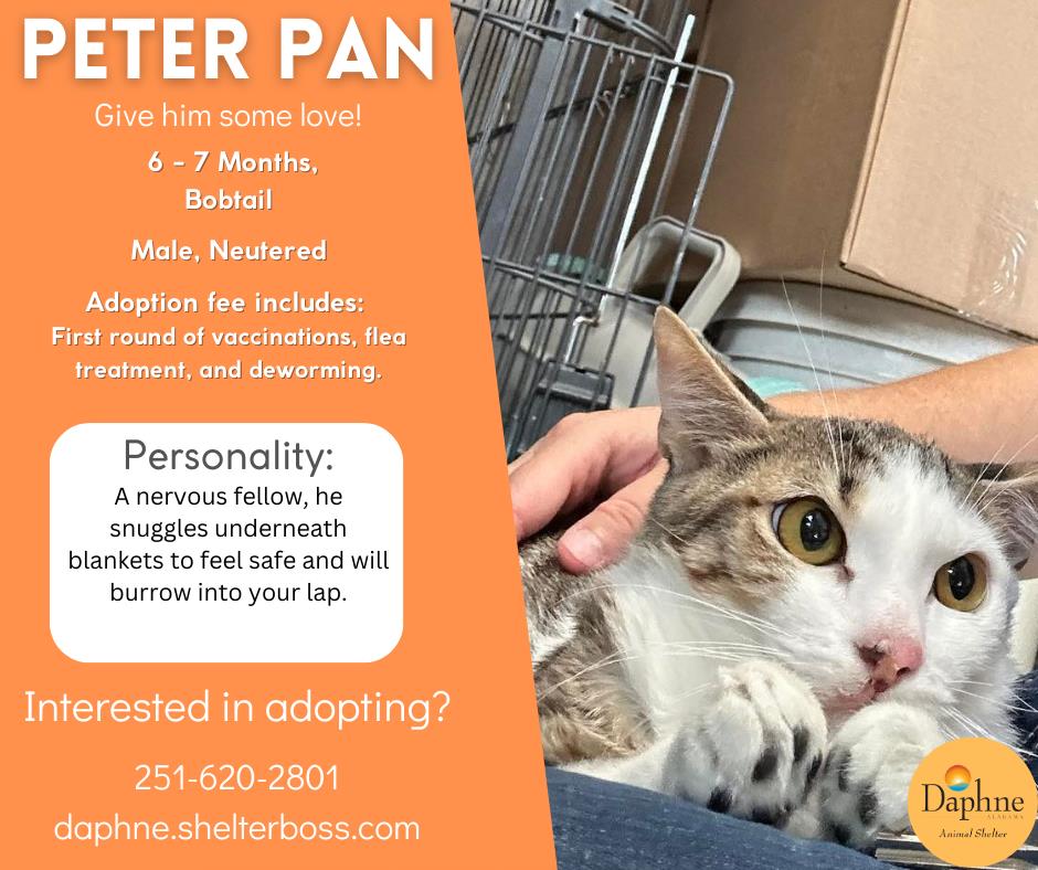 Peter Pan